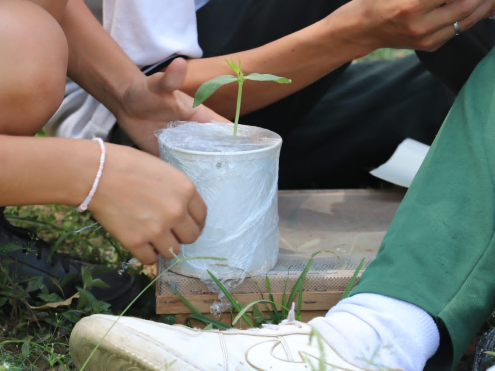 Scpa2 AGROSAVIA