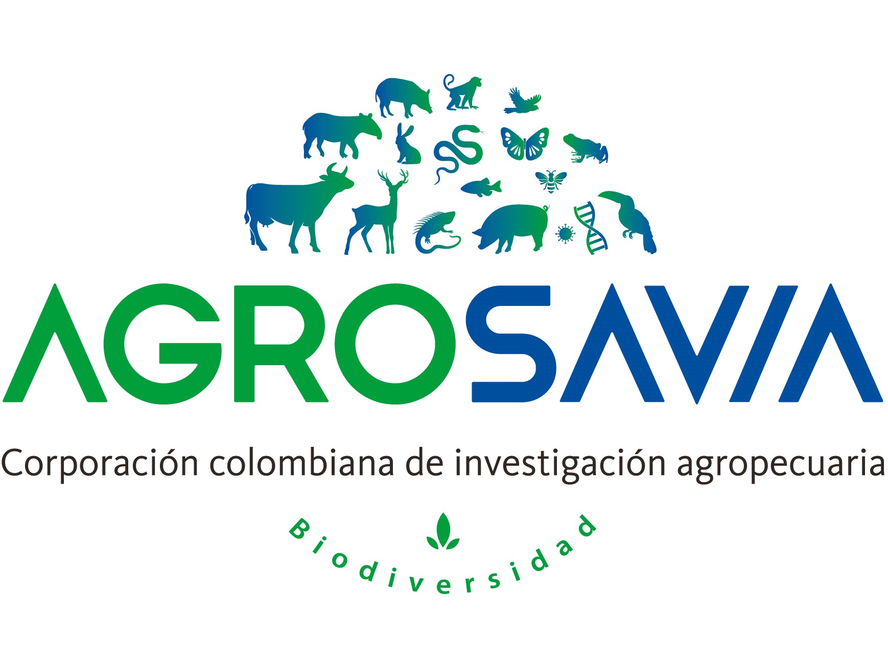 Evento 25 octubre