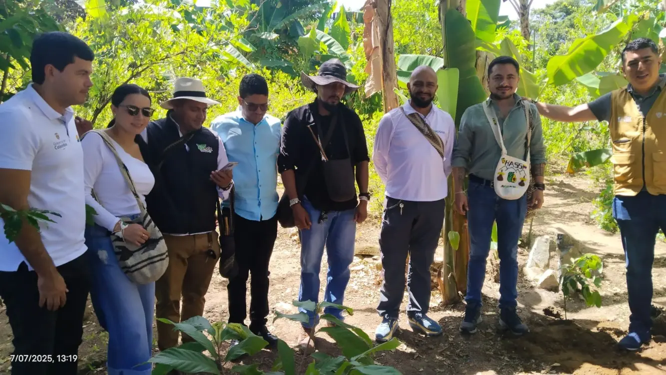 Proyecto de Aguacate Hass en el Cesar tendrá el acompañamiento de AGROSAVIA