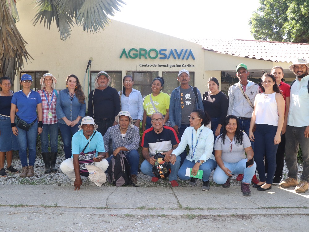 AGROSAVIA capacitó a productores de mango en el departamento del Magdalena