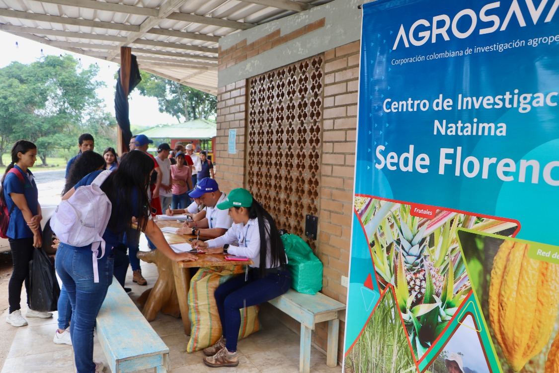 Dia De Campo ADR6 AGROSAVIA