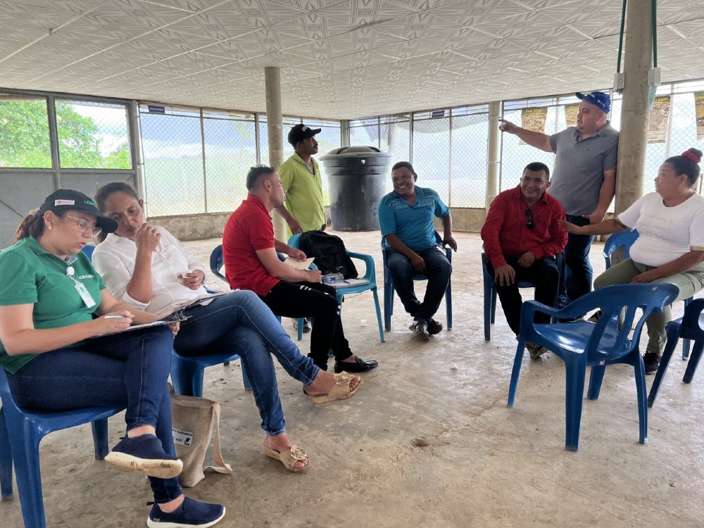 Proyecto De Ñame5 AGROSAVIA