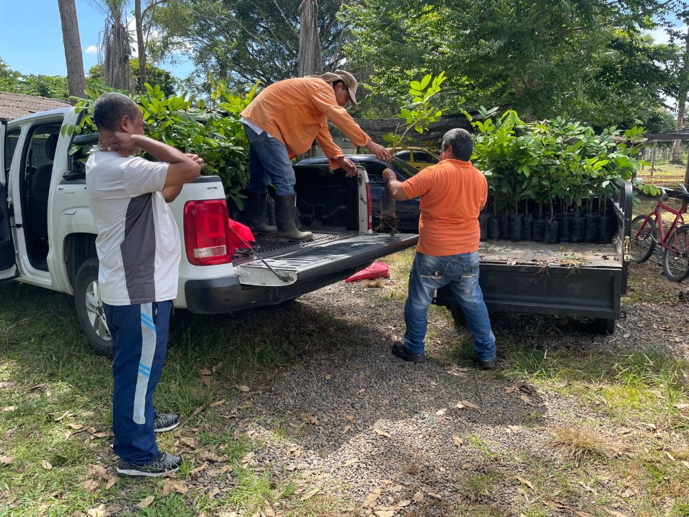 AGROSAVIA's La Libertad Research Center delivers rambutan clone R-134 seedlings and Pinto peanut Centauro cover to SENA - Centro Agroindustrial Los Naranjos