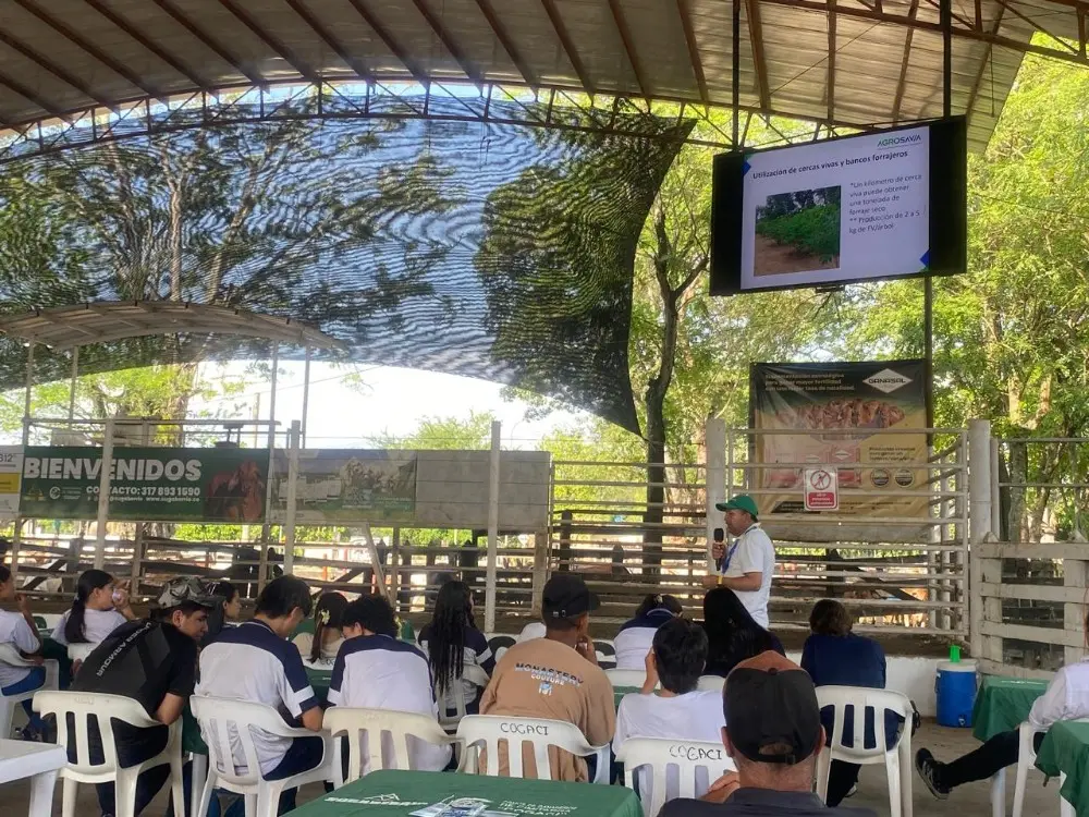 AGROSAVIA Promotes Sustainable Livestock Farming in Santander