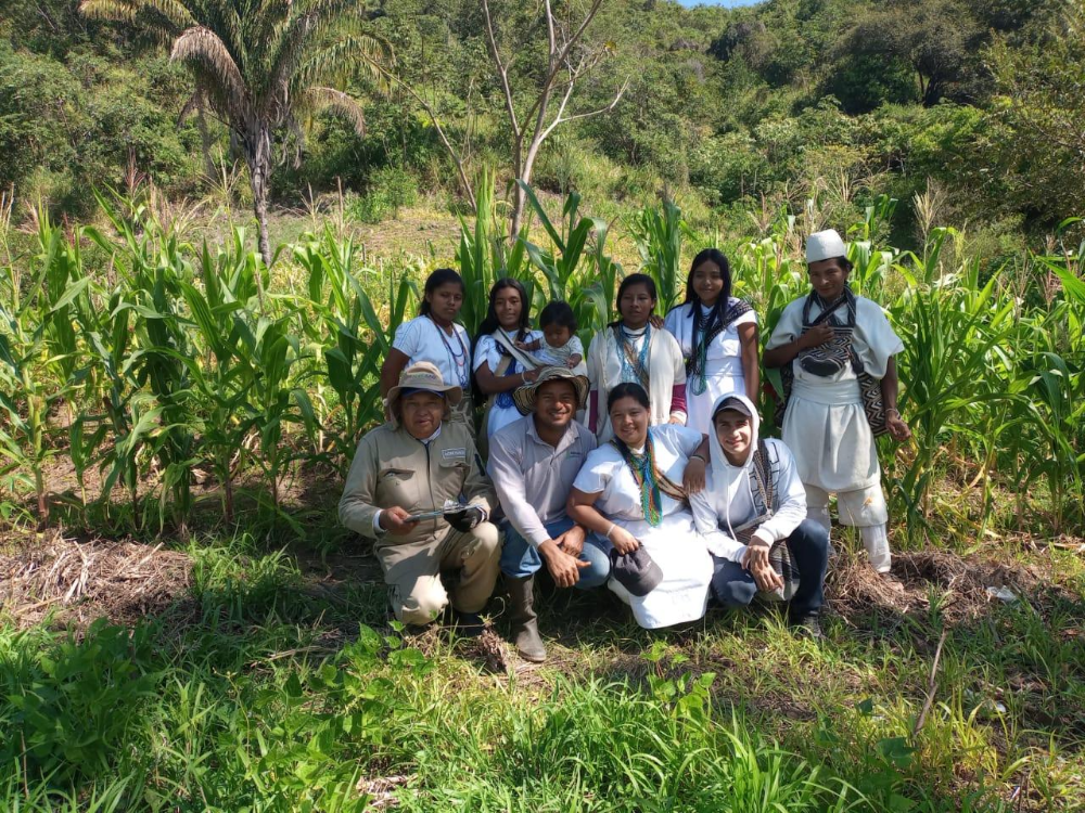 AGROSAVIA recibe galardón continental por proyecto de Frijol común