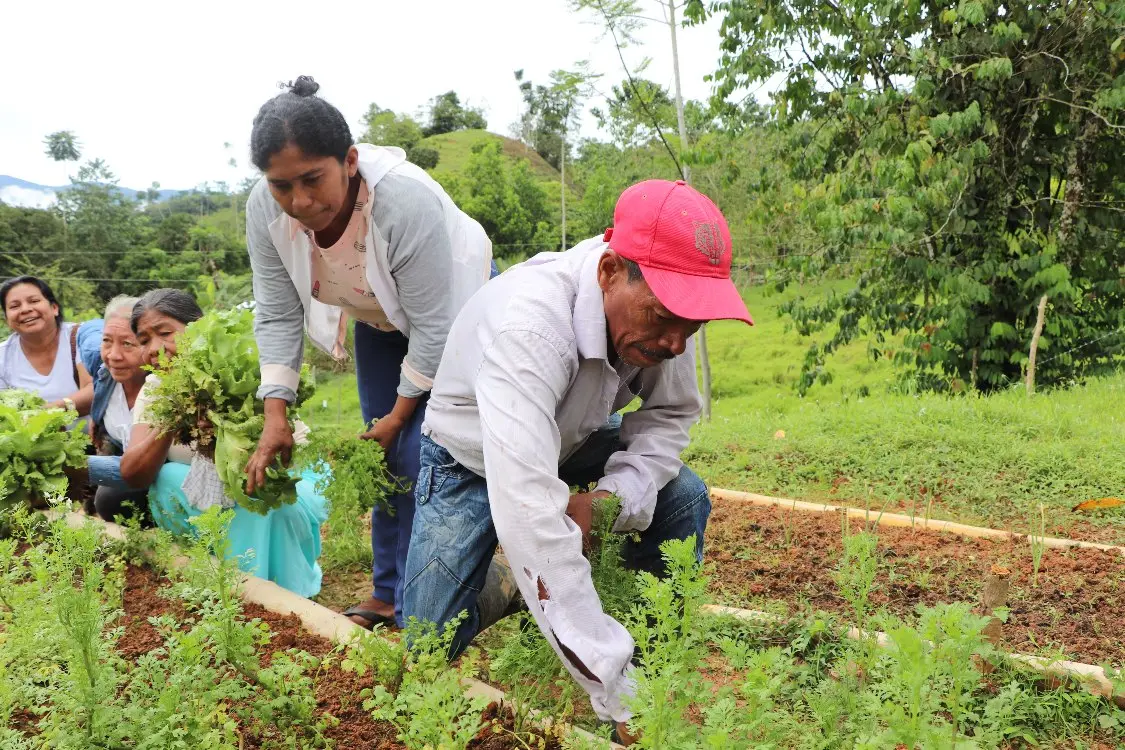 Sistemas Agroalimentarios2 Fotor Webp