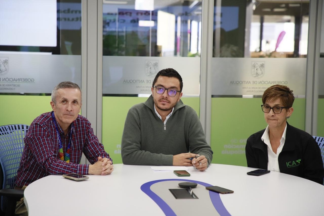 HLB Cítricos Antioquia4 AGROSAVIA