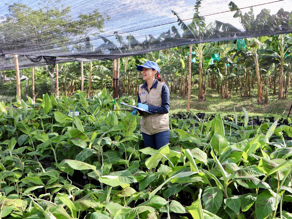 Bioestimulantes AGROSAVIA