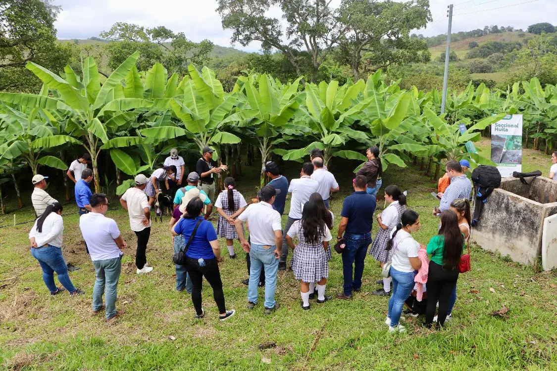 Una Nueva Raíz Para Tello4 Fotor Webp