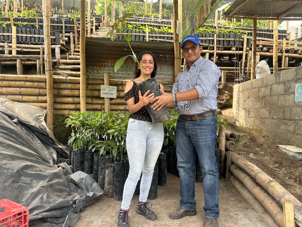 Agricultores De Herveo, Tolima Reciben Plántulas De Aguacate En El Marco Del Proyecto Apropiación Social Del Conocimiento3 AGROSAVIA