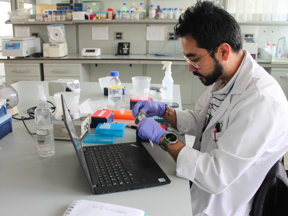 FENAVI y AGROSAVIA promueven prácticas sostenibles en la avicultura