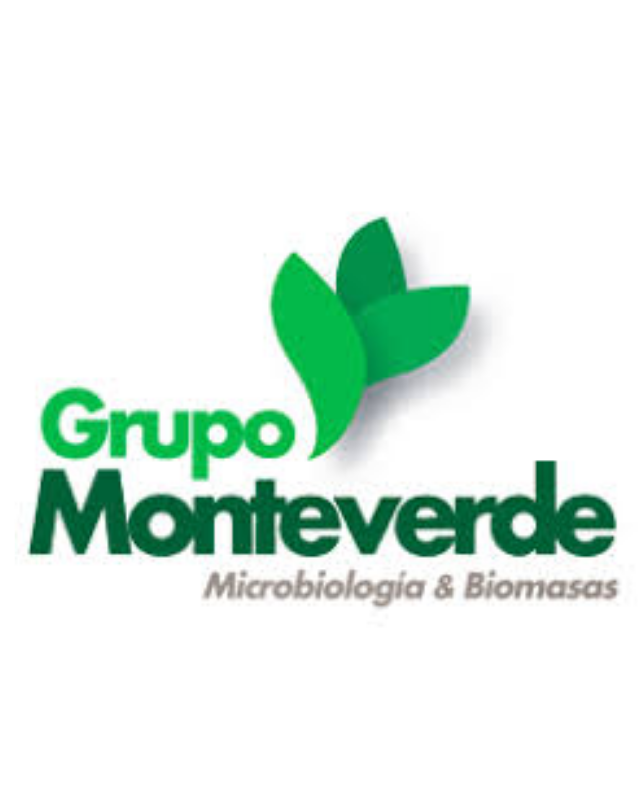 Grupo Monteverde