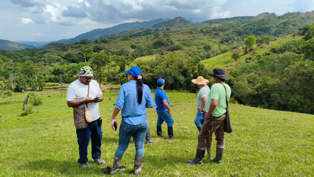 Proyecto Parques3 Fotor Webp