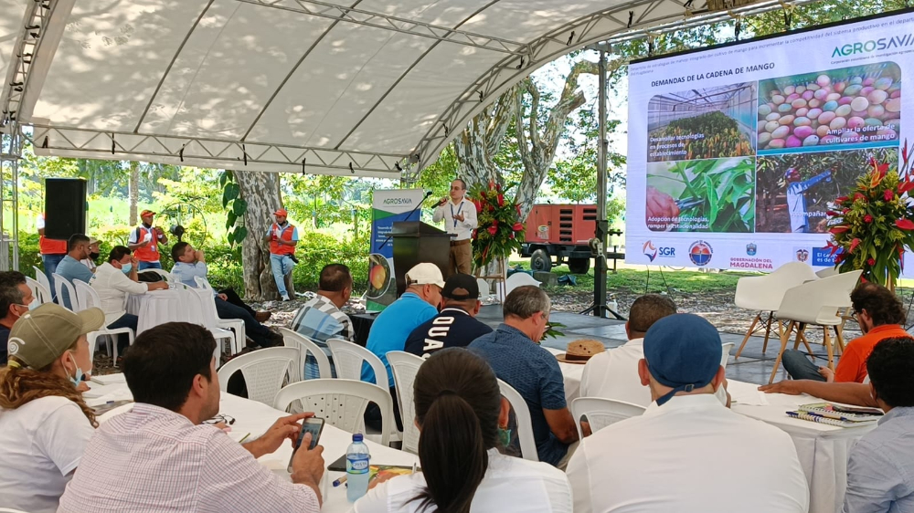 AGROSAVIA lanza proyecto de investigación que beneficiará a productores de mango del departamento del Magdalena