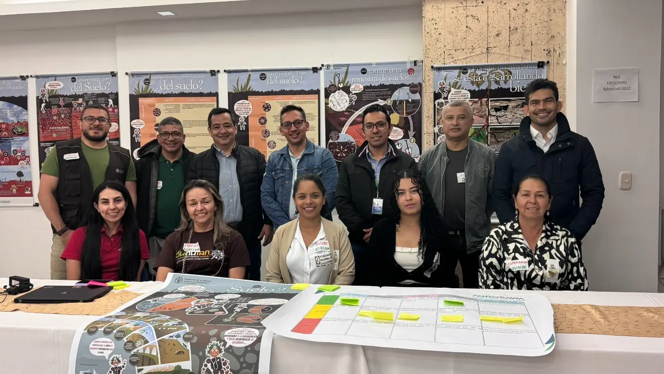 Mitigación de metales pesados en el cultivo de cacao