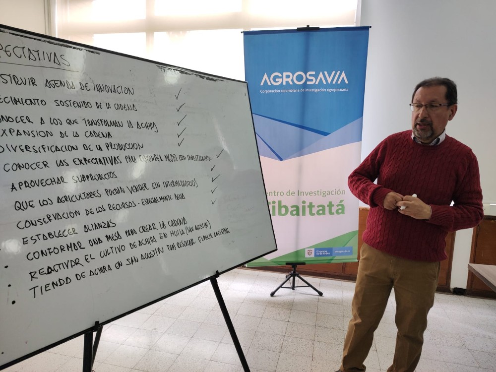 Se Hornea El Plan Estratégico Para El Fortalecimiento De La Cadena De Valor De La Achira4 AGROSAVIA