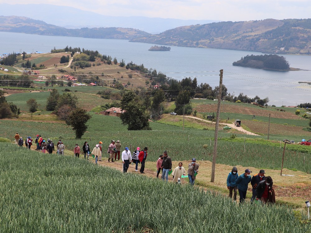 La Sede Tunja De AGROSAVIA, Aportando A La Agricultura Familiar Y La Seguridad Alimentaria De Boyacá4 AGROSAVIA