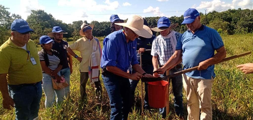 Continuamos transfiriendo tecnología para los productores de los Llanos