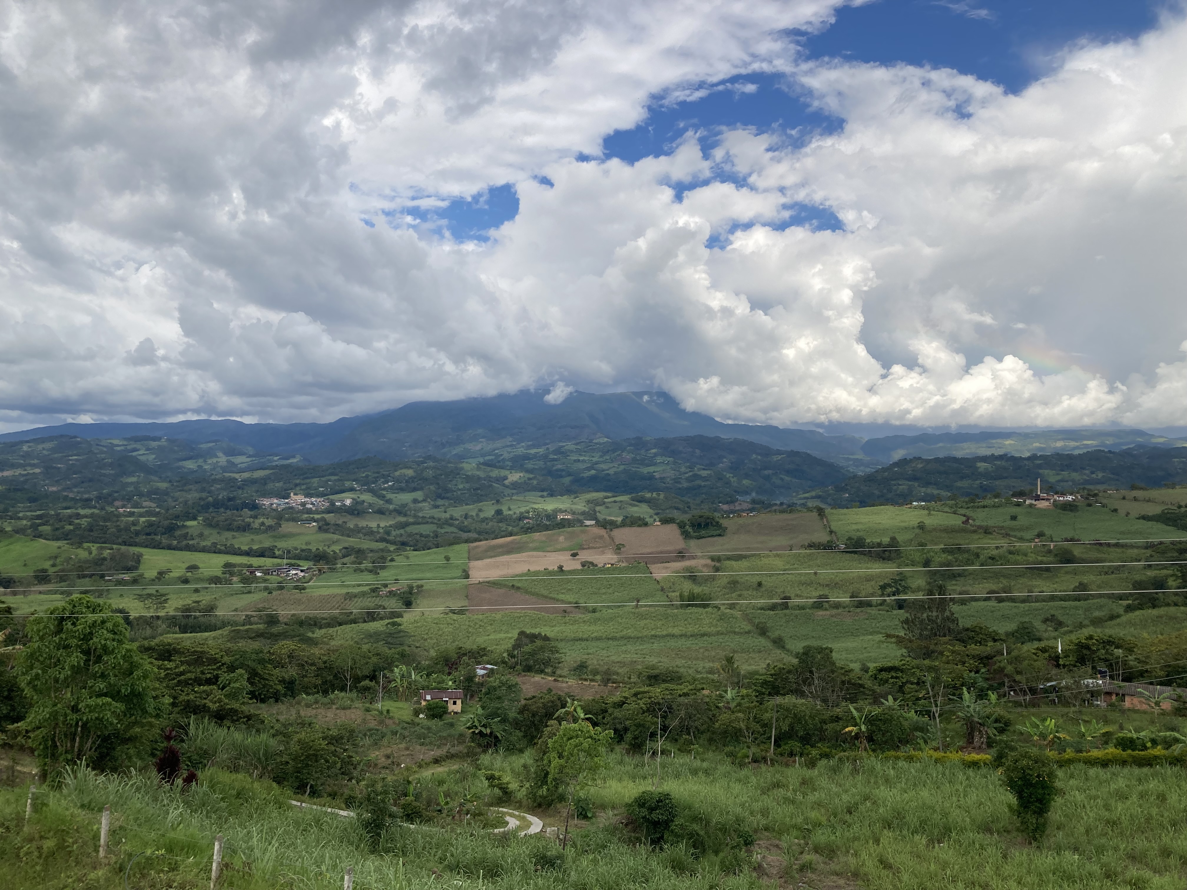 Paisaje 2 N. Barreto 2024