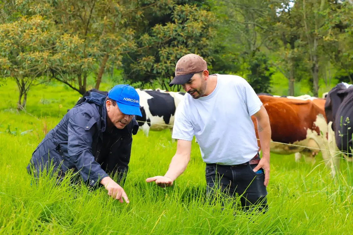 AGROSAVIA will Launch the Microsite