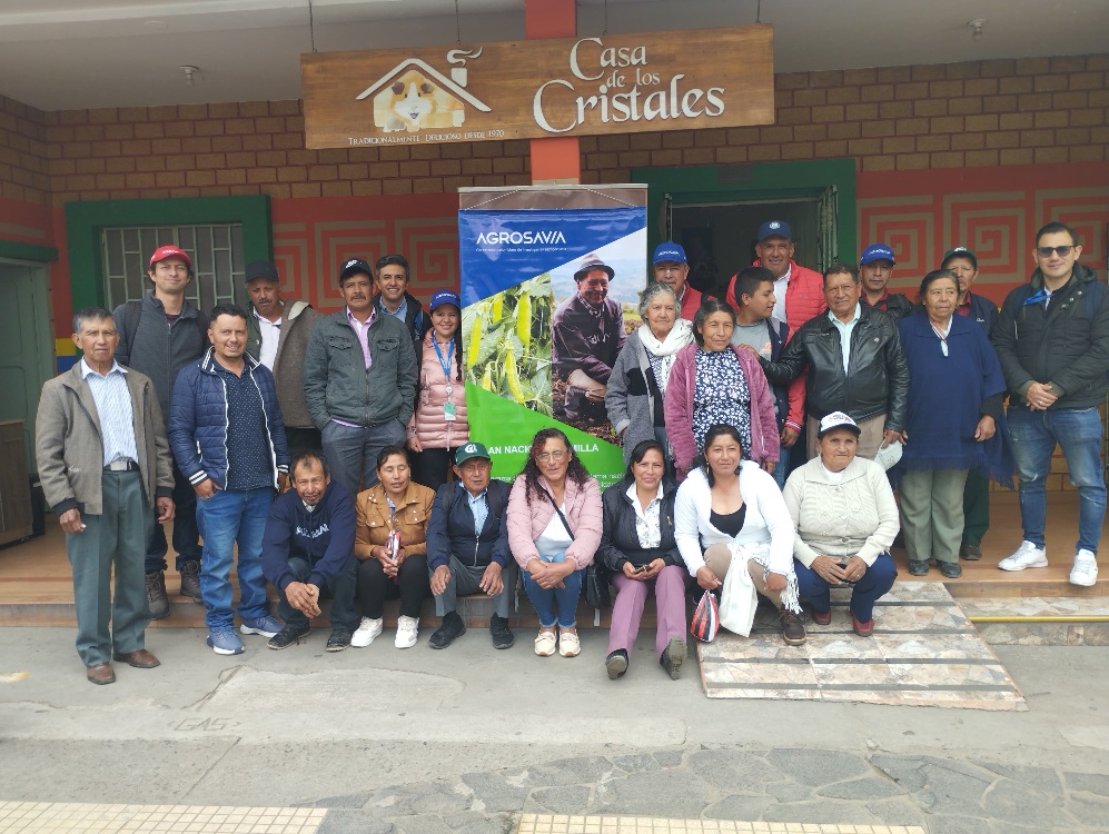 Cierre proyecto PNS-Avances clave en producción de semilla de arveja en Nariño