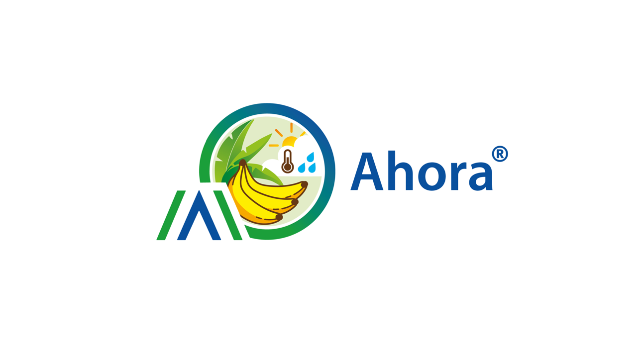 AHoRa: Aplicativo de apoyo para la toma de decisiones sobre manejo de cultivos en musáceas
