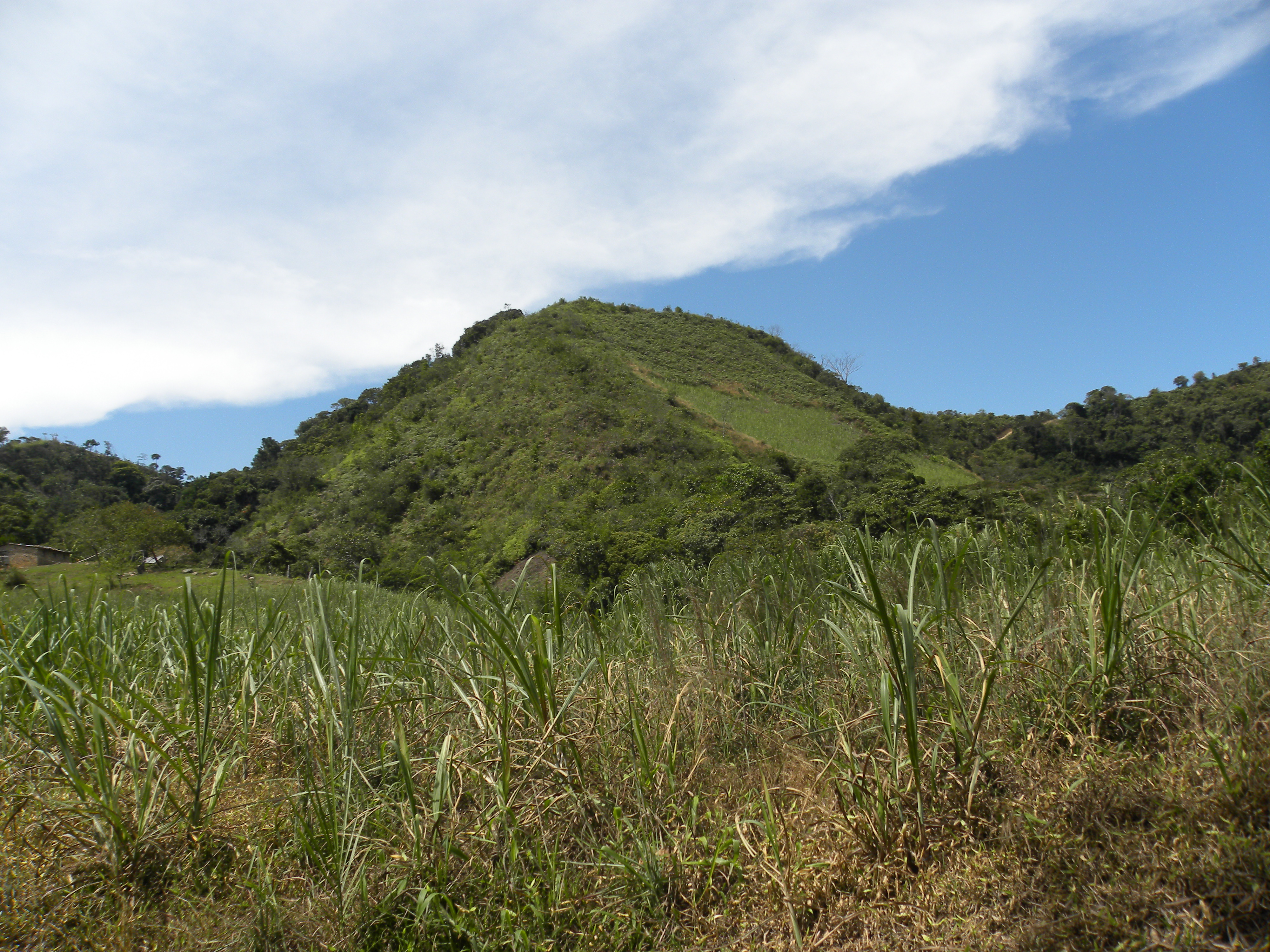Paisaje 4 P. Osorio 2024