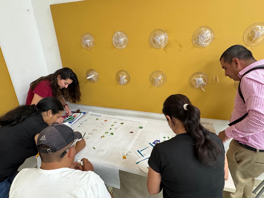 Taller de diseño participativo de huertas agroecológicas