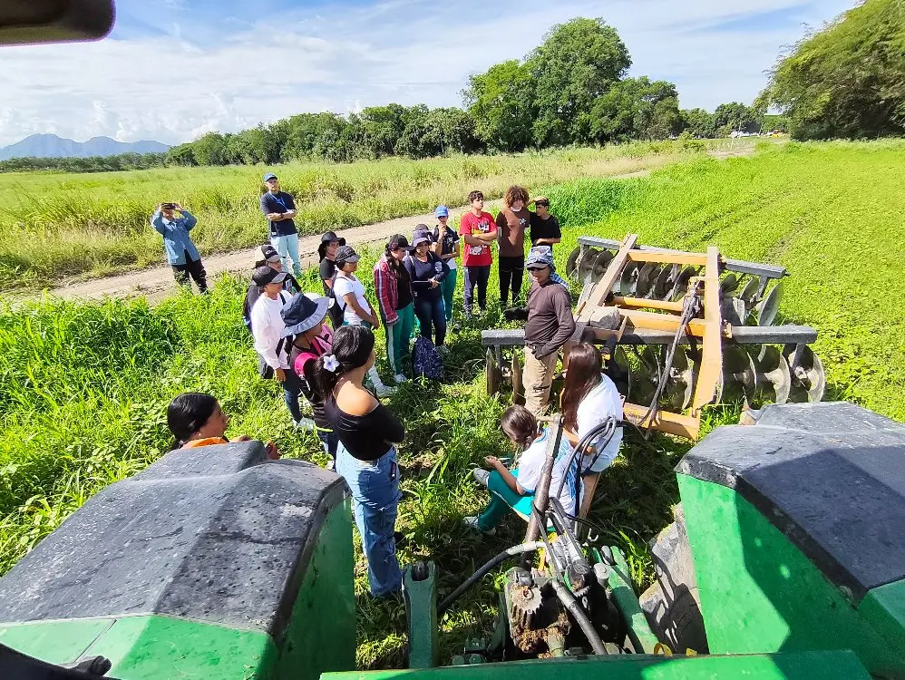 Los productores agropecuarios en Colombia