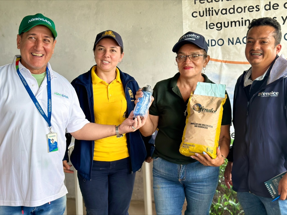 Semillas De Esperanza Pequeños Productores De Mesetas Reciben Un Impulso Para El Cultivo Del Maíz6 AGROSAVIA