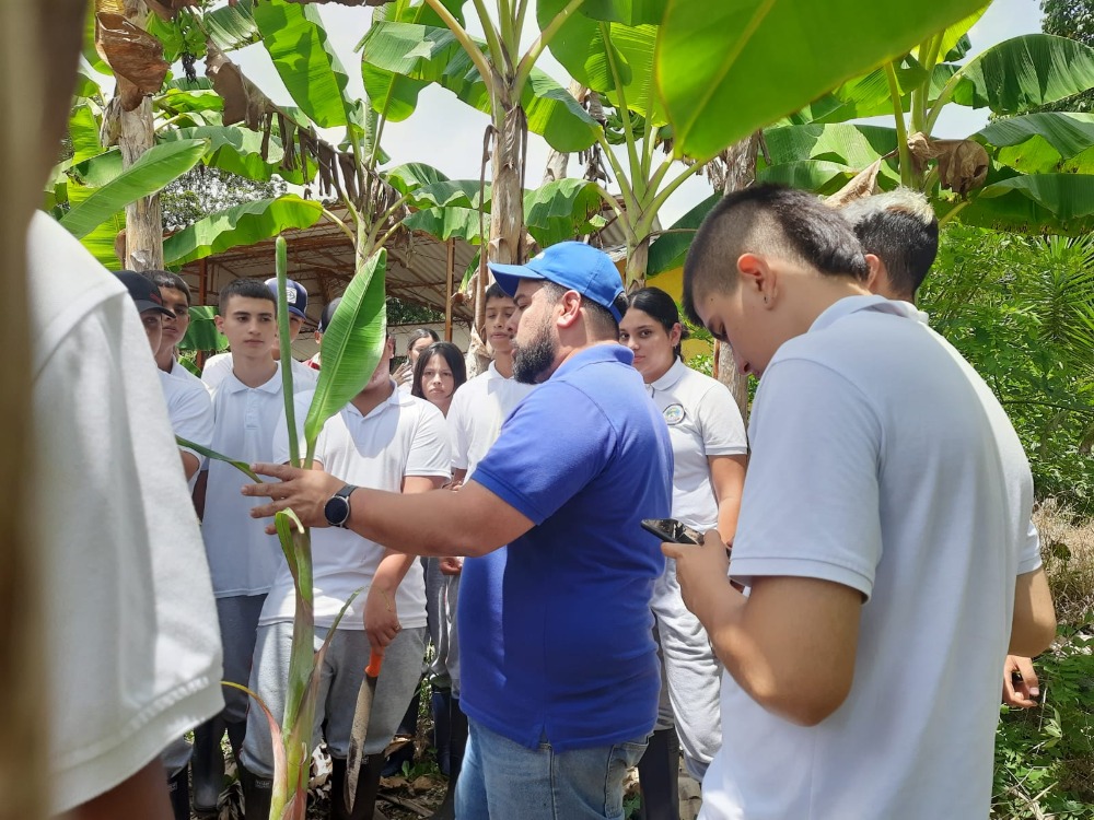 Compromiso Y Esperanza En El Campo Más Jóvenes Se Benefician Con El Proyecto Jóvenes Rurales En El Valle Del Cauca4 AGROSAVIA