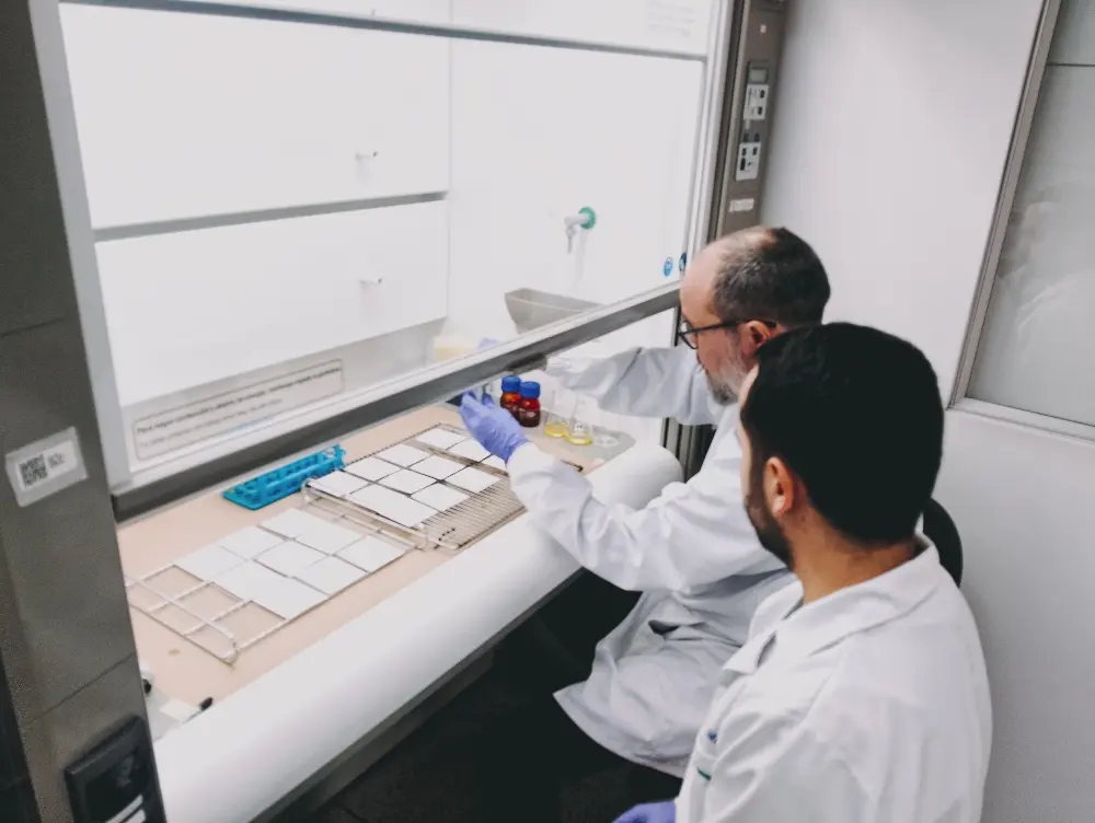 Garrapatas3 Fotor Webp