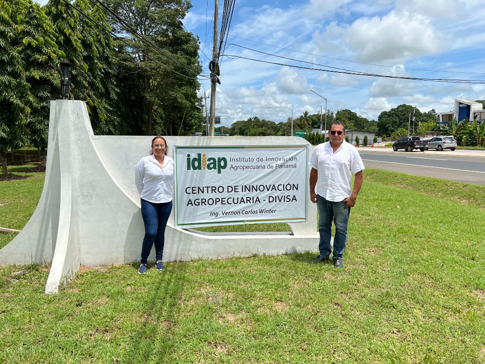 Investigadores de AGROSAVIA visitaron el IDIAP en Panamá