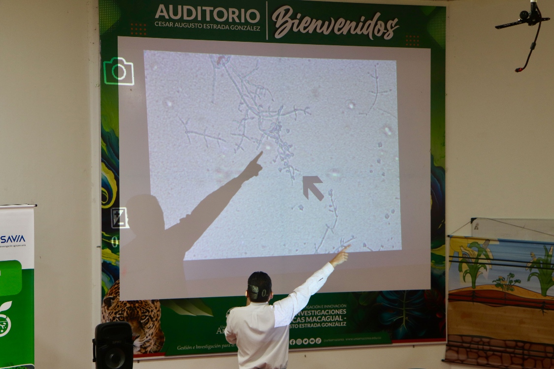 AGROSAVIA Y La Universidad De La Amazonía Desarrollan Un Día De Campo CB En Caqueta3 AGROSAVIA