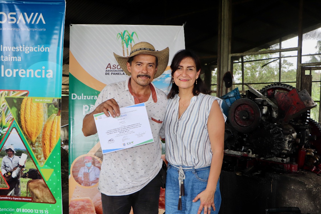 Certificacion Caña4 AGROSAVIA