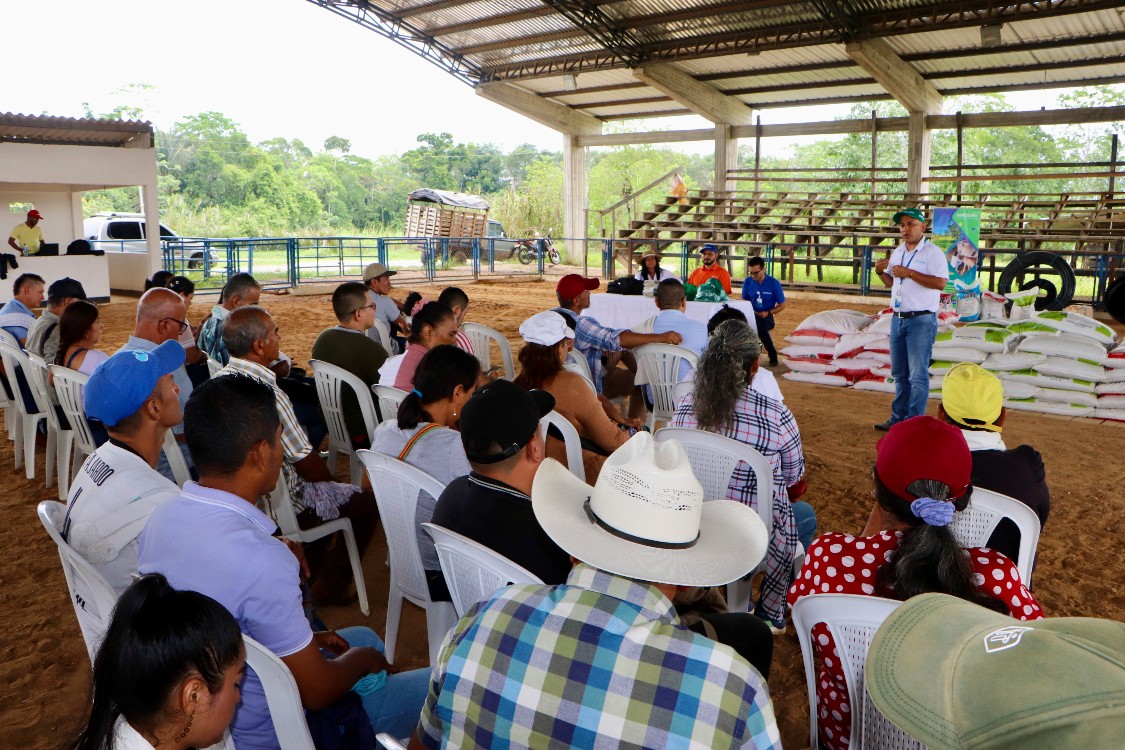 AGROSAVIA fortalece sistemas de producción bovina