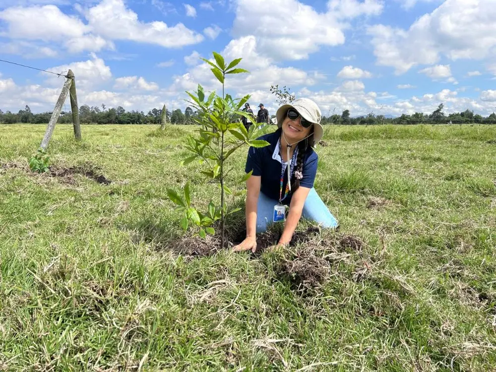 Colombia Siembra Vida5 Fotor Webp