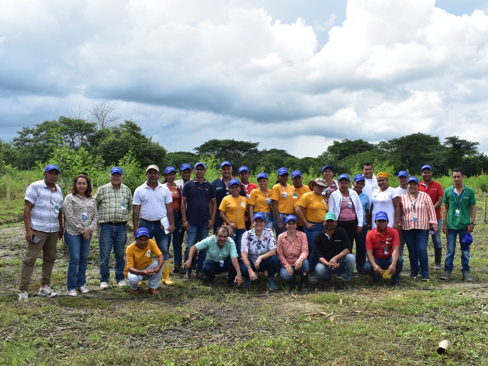 AGROSAVIA fortalece asociaciones de productores de fríjol guandul