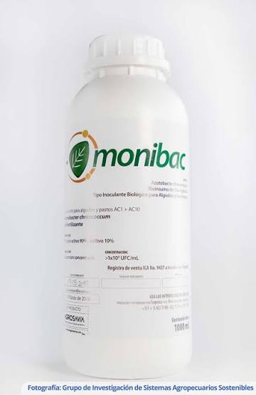 Images Monibac