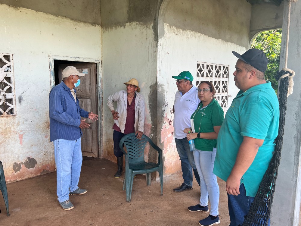 Proyecto De Ñame Gira Técnica En Panamá3 AGROSAVIA