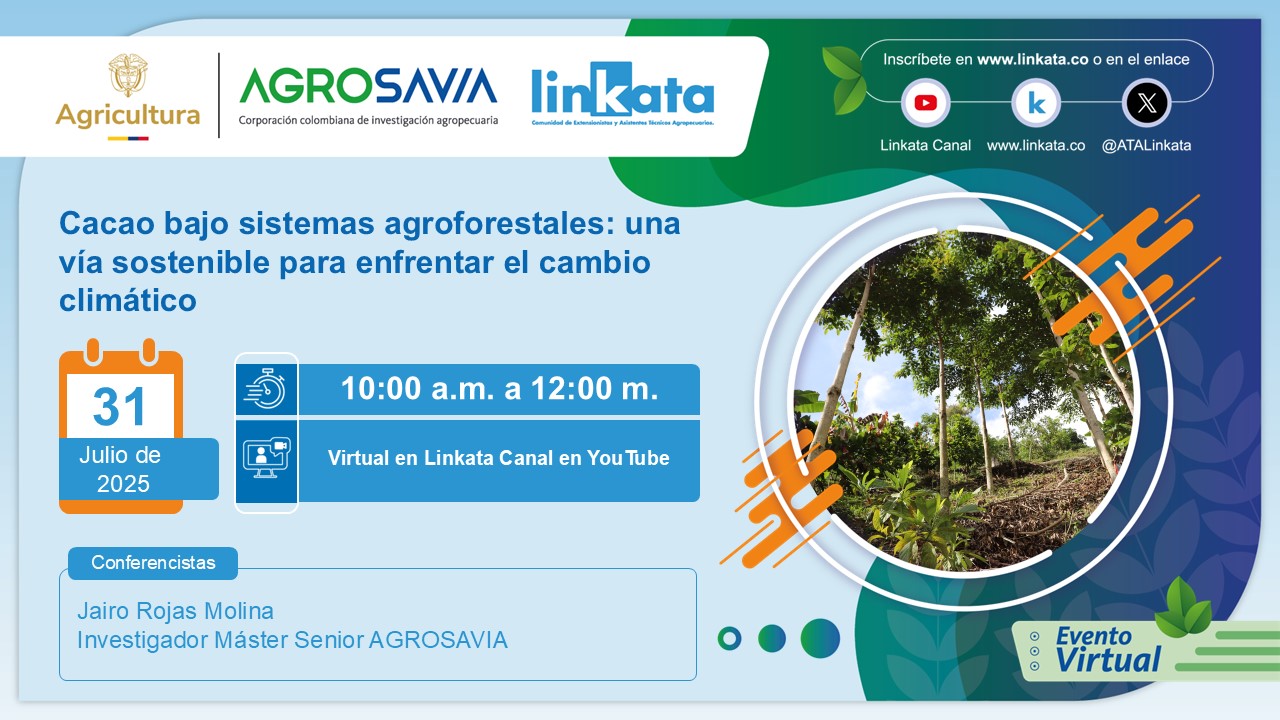 Evento 31 julio