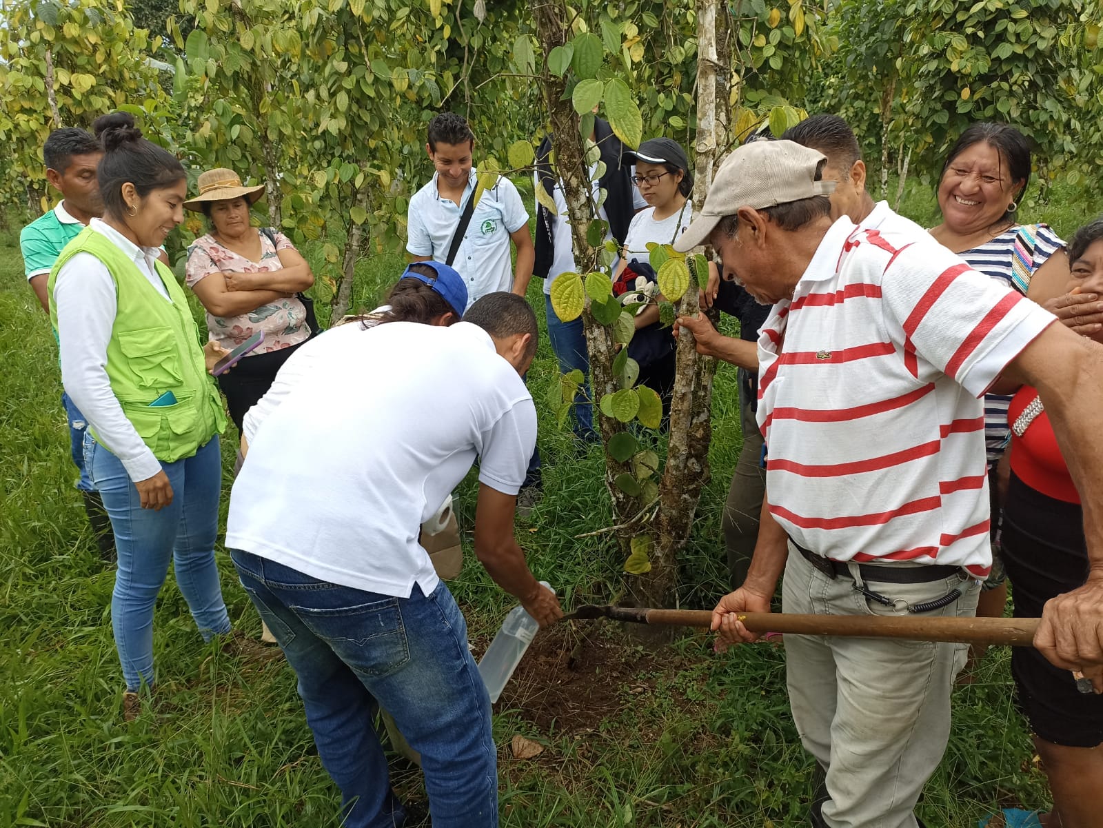 Avanza proyecto de AGROSAVIA - UNODC en Putumayo