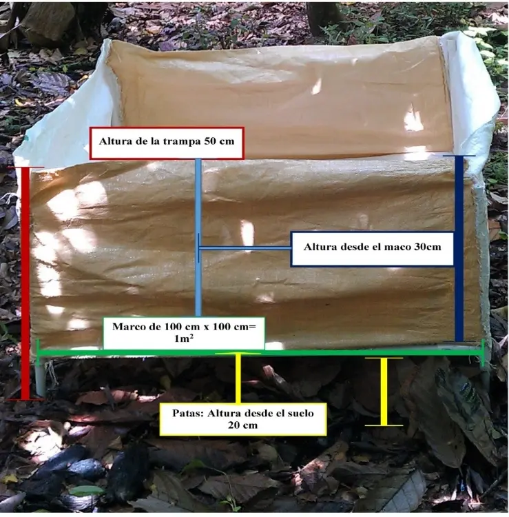 Artículo Biomasa Cacao4 Fotor Webp