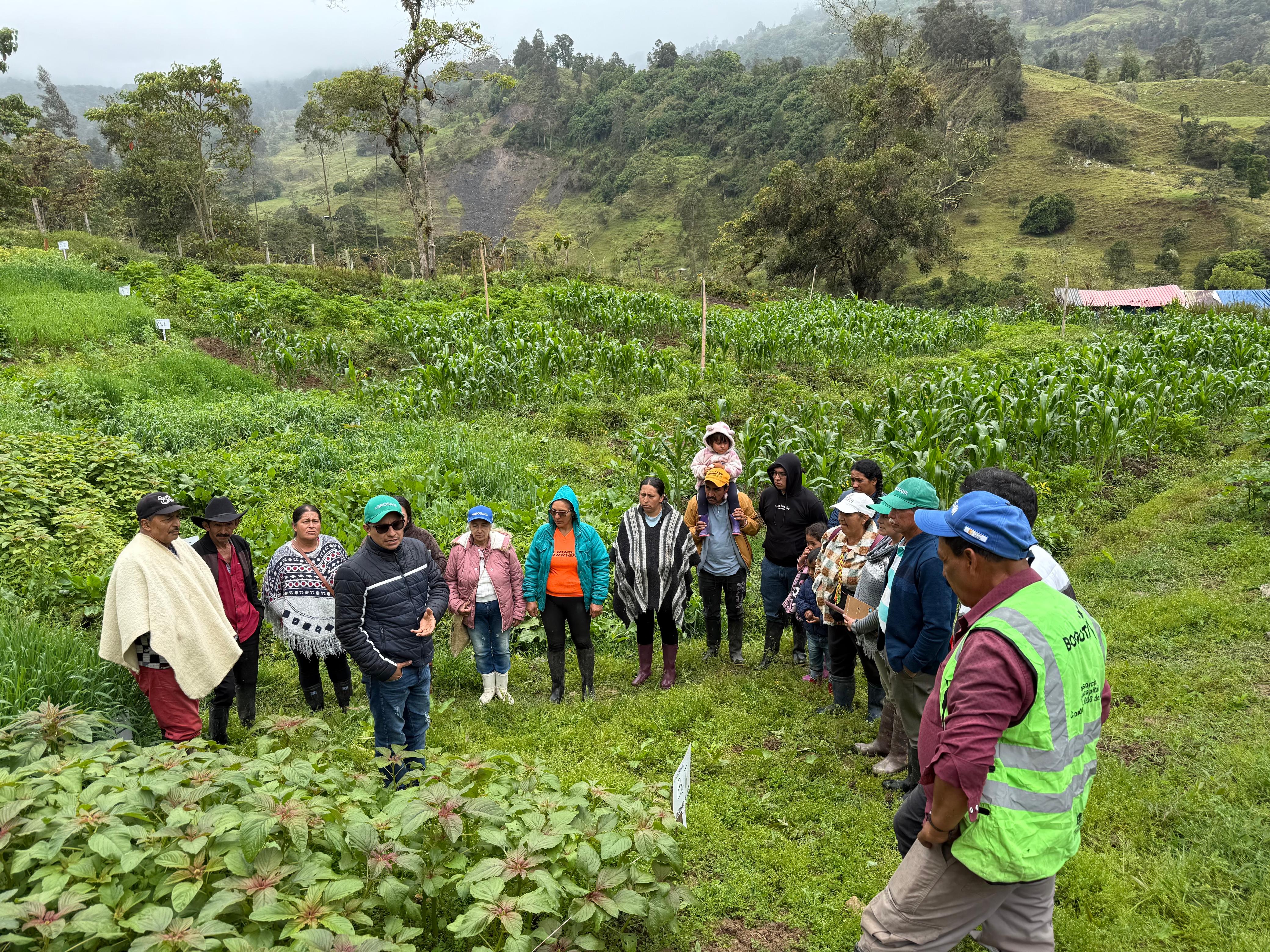 Fotografía 2 Abonos Verdes Cabrera