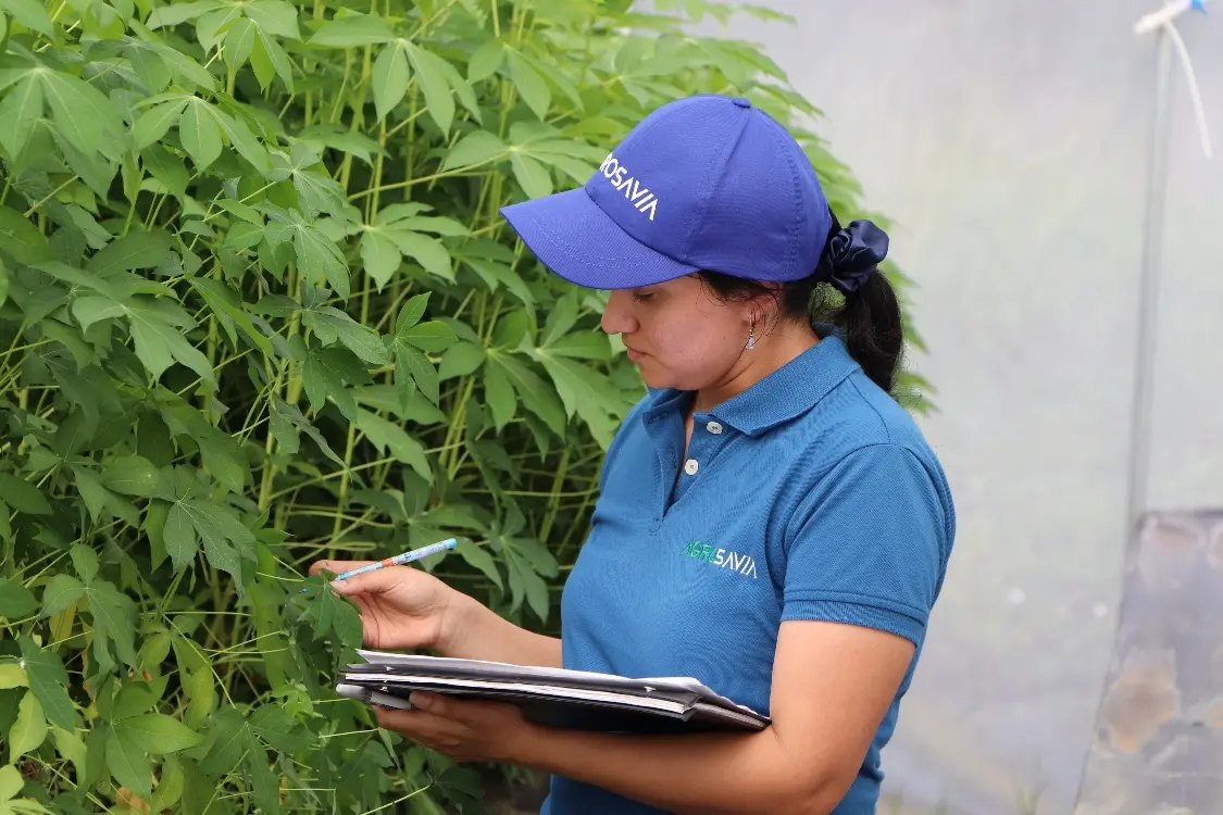 Implemented a tunnel system