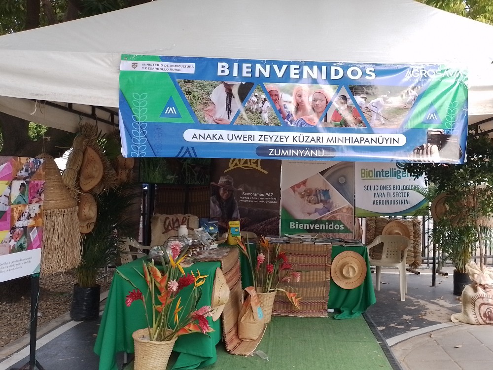 AGROSAVIA apoya emprendimientos de las comunidades étnicas en el primer festival étnico intercultural de Valledupar 