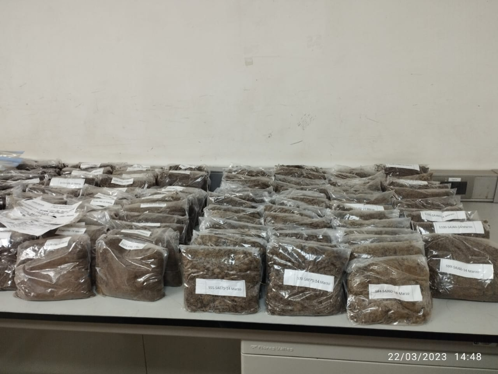 Proyecto Regional Cacao12 AGROSAVIA