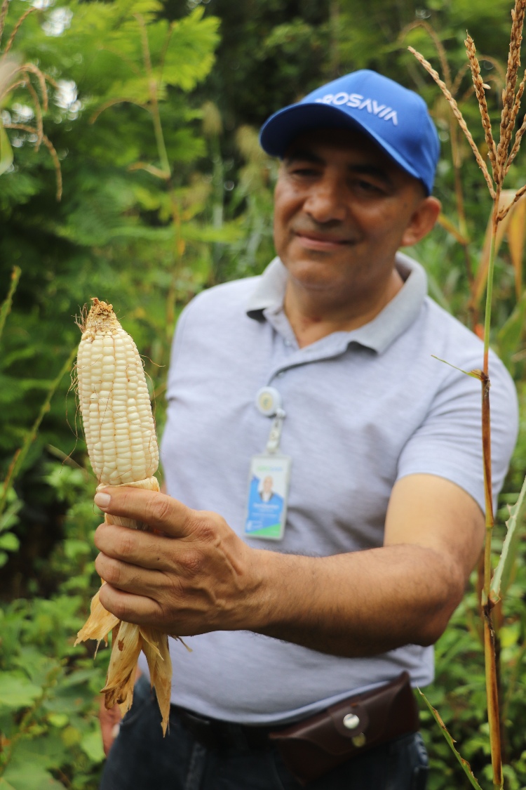 La Gobernanza Y La Seguridad Alimentaria En Lloró Fortalece Con Alianza Entre El Ministerio De Agricultura,AGROSAVIA Y El PNUD3 AGROSAVIA