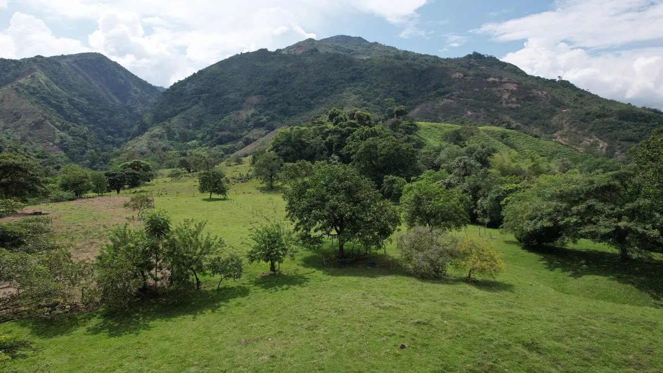 Proyecto Parques5 Fotor Webp