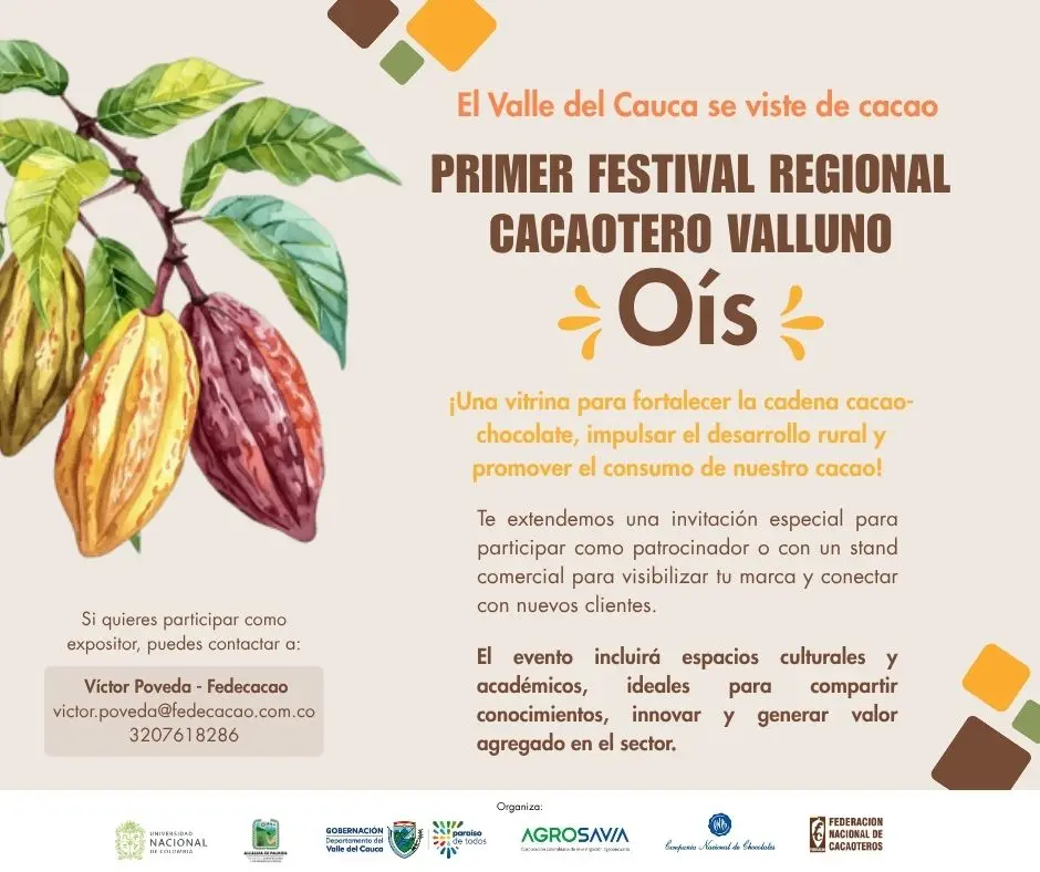 Festival 02